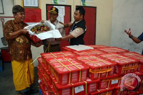 Ekspor pertama manggis ke China