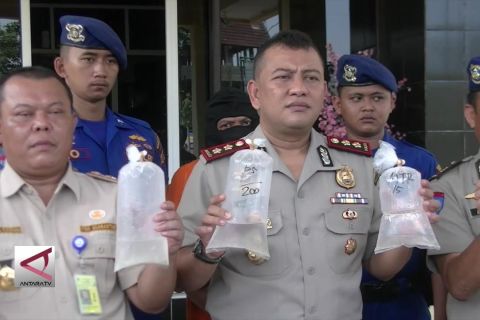 Penyelundupan benur bernilai miliaran rupiah digagalkan