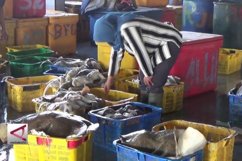 Kabupaten Batang akan bangun TPI Higienis