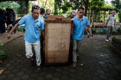 Pertukaran satwa kebun binatang