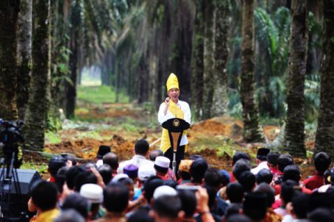 Presiden Resmikan Program Peremajaan Kebun Kelapa Sawit Rakyat