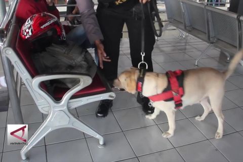 KAI Daop 4 siapkan anjing pelacak antisipasi aksi teror
