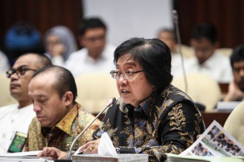 Rapat usulan alih fungsi hutan