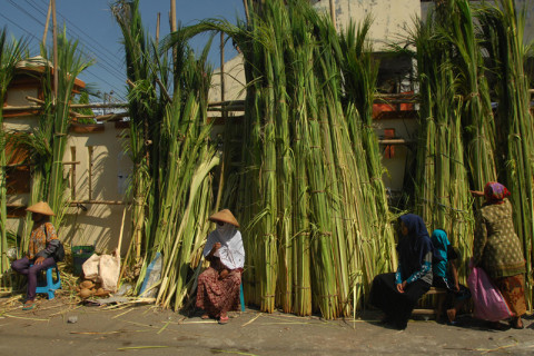 Penjual Janur Kulit Ketupat