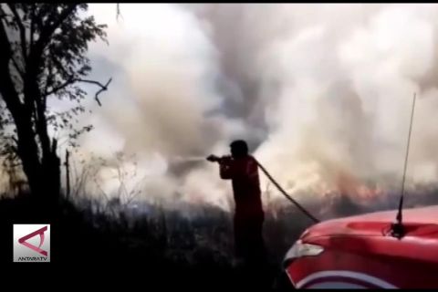 73 Ha Taman Nasional Rawaopa Watumohai terbakar