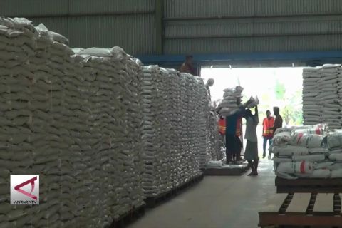 Bulog Kedu serap 8.974 ton beras