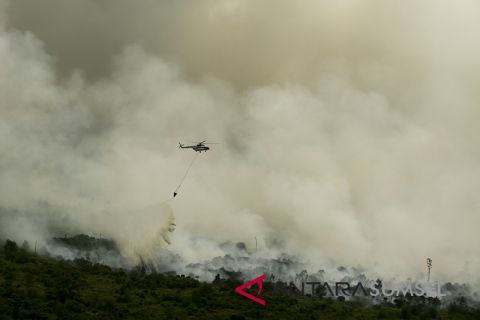 Pemadaman Kebakaran Lahan Muara Medak