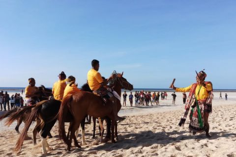 Parade 1001 Kuda Sandelwood di Sumba