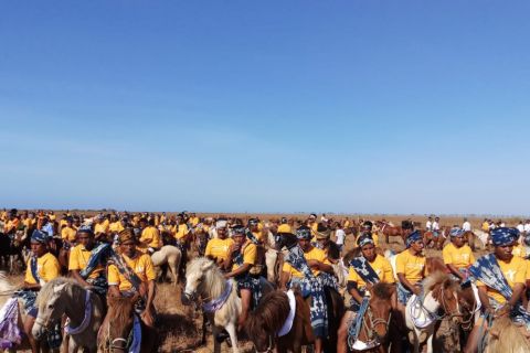 Parade 1001 Kuda Sandelwood di Sumba