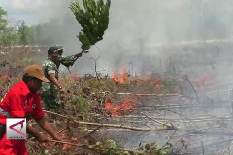 Kapuas tetapkan status siaga darurat Karhutla
