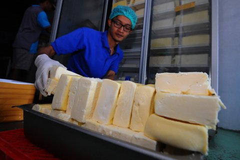 Industri keju dari susu sapi