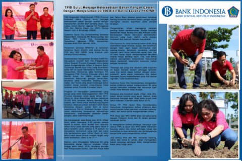 TPID Sulut Menjaga Ketersediaan Bahan Pangan Daerah Dengan Menyalurkan 20.000 Bibit Barito kepada PKK-WKI