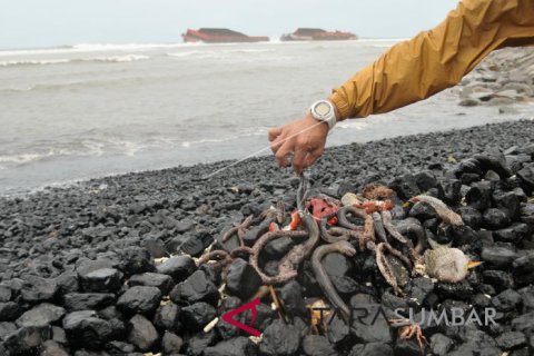 TONGKANG BATU BARA KANDAS