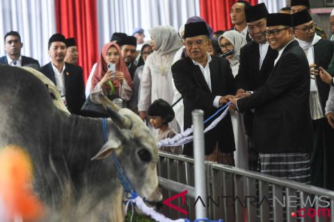 Wapres Serahkan Hewan Kurban