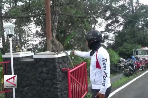 Isi Waktu, atlet paralayang bermain dengan monyet