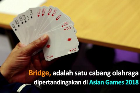 Mengenal Bridge, olahraga yang mengasah otak
