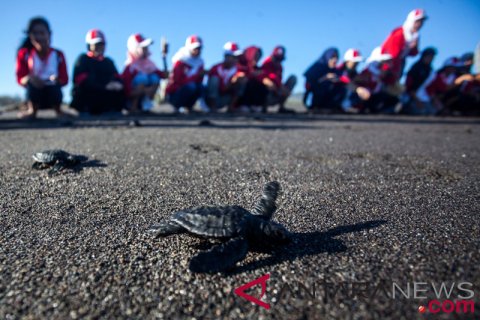 Edukasi Pelestarian Lingkungan