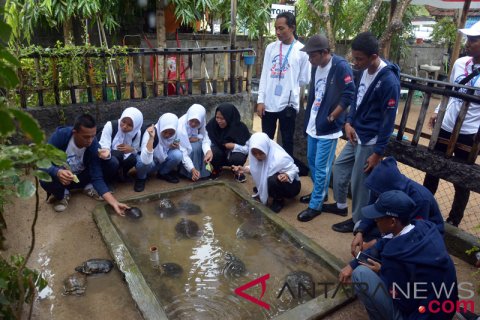 BUMN Hadir - SMN Belajar Lestarikan Penyu