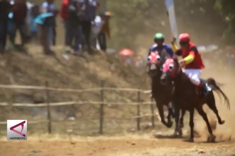 Adu ketangkasan pacuan kuda tradisional di Kuningan