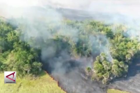 Upaya Manggala Agni padamkan Karhutla seluas 63 Hektar