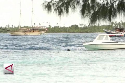 Sejumlah pendektesi tsunami di Papua rusak dan dicuri