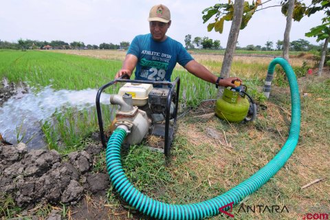 Pompa Air Gas Untuk Pertanian