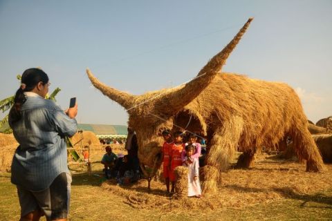 Festival Jerami