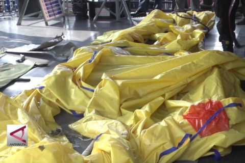 186 Kantong jenazah telah diserahkan ke tim DVI