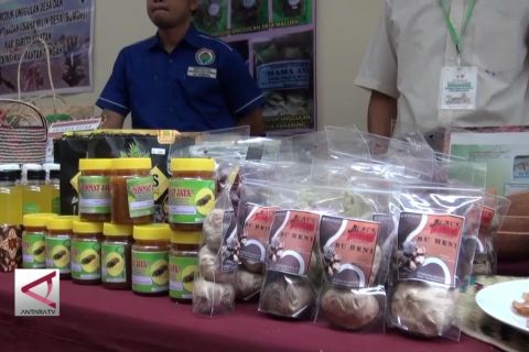 Bumdes berpotensi tumbuh di Kalteng