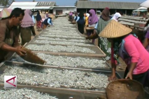Pengolahan ikan asin yang mengubah wajah Pandeglang