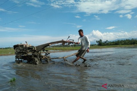 Petani Parigi Bajak Sawah