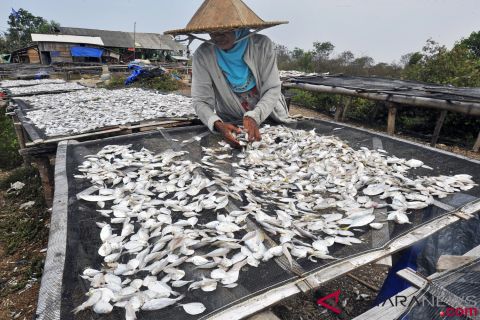 Harga Ikan Asin Melonjak