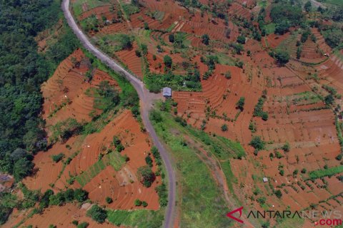 Alih Fungsi Hutan Menjadi Sawah