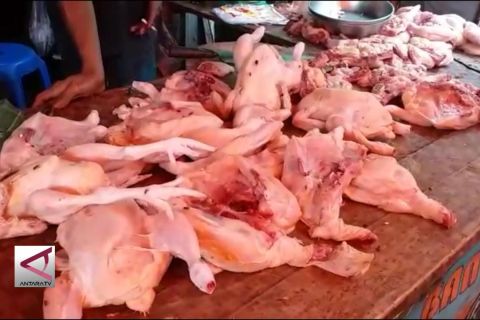 Cegah kenaikan harga, Satgas Pangan Babel sidak pasar