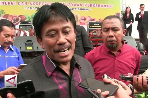 Kementan dorong perlindungan lahan gambut