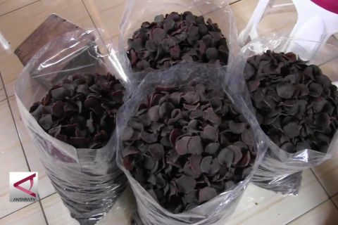 Kreasi kerupuk dari kulit pisang