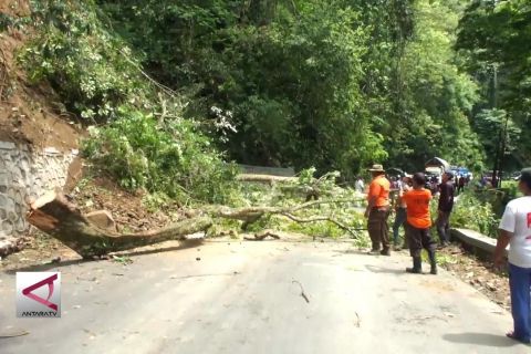 Jalur Gunung Gumitir rawan longsor