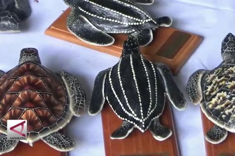 Produk replika penyu untuk selamatkan penyu
