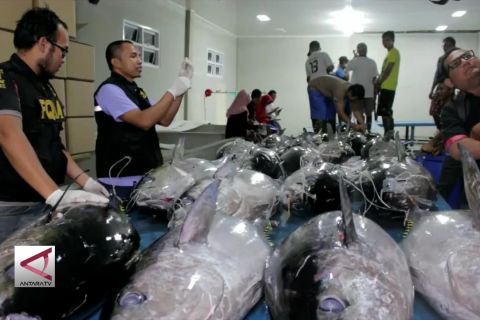 Kontrol mutu dan kesehatan ikan agar ekspor meningkat