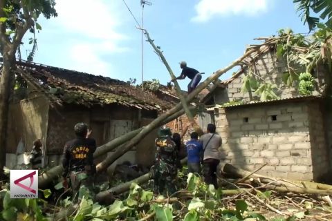 Puting Beliung terjang pemukiman warga di Jember