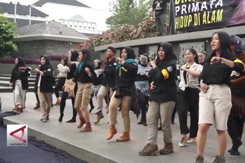 Miris, perburuan primata meningkat karena hobi