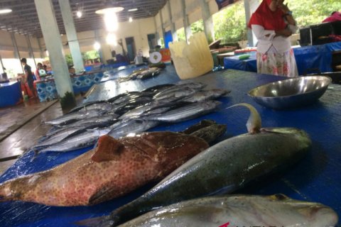 TANGKAPAN NELAYAN MENTAWAI BERKURANG