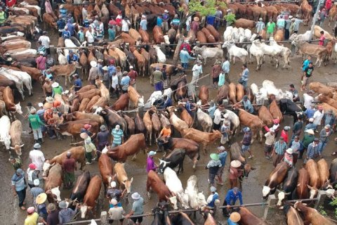 KAPASITAS TPA AIR DINGIN DI PADANG