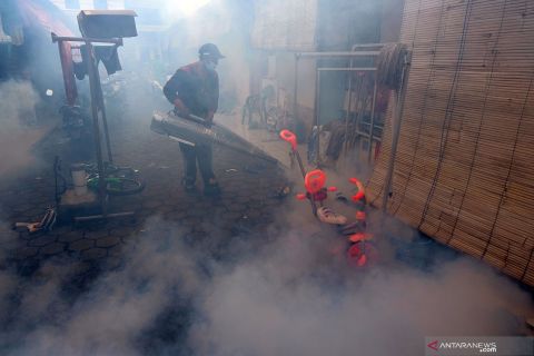 Pencegahan DBD di Bali