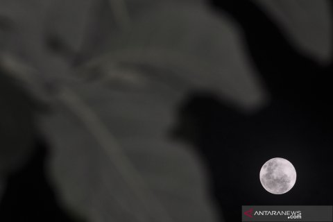 Fenomena alam Supermoon