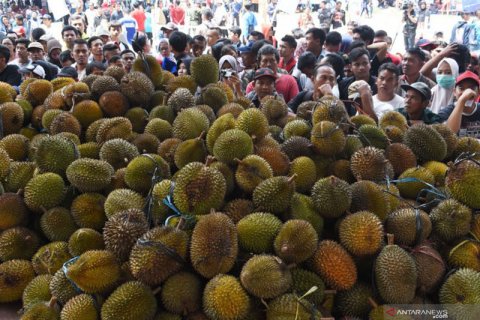 Pembagian Durian Gratis