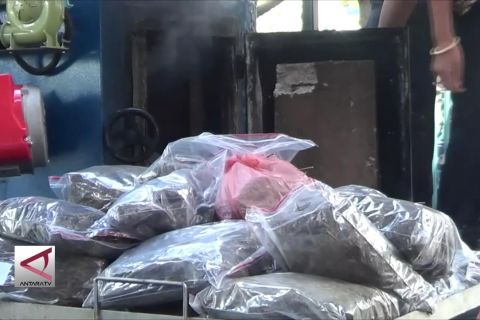 BNNP Bali musnahkan ganja seberat 21.225 kilo gram