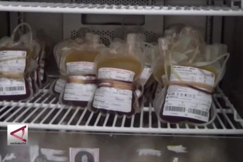 Permintaan trombosit darah di Sultra meningkat