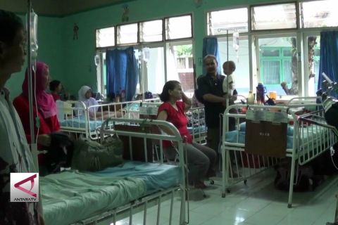 Kasus DBD masih jauh dari KLB Nasional
