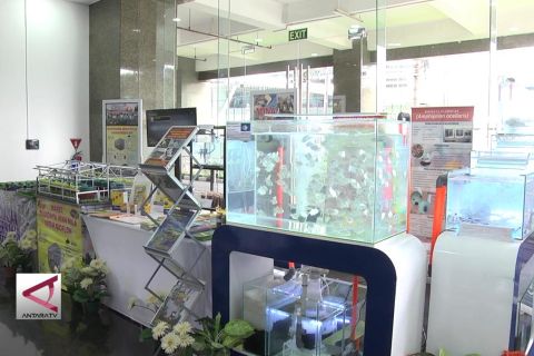 Sinergitas dukung kenaikan volume perikanan budidaya